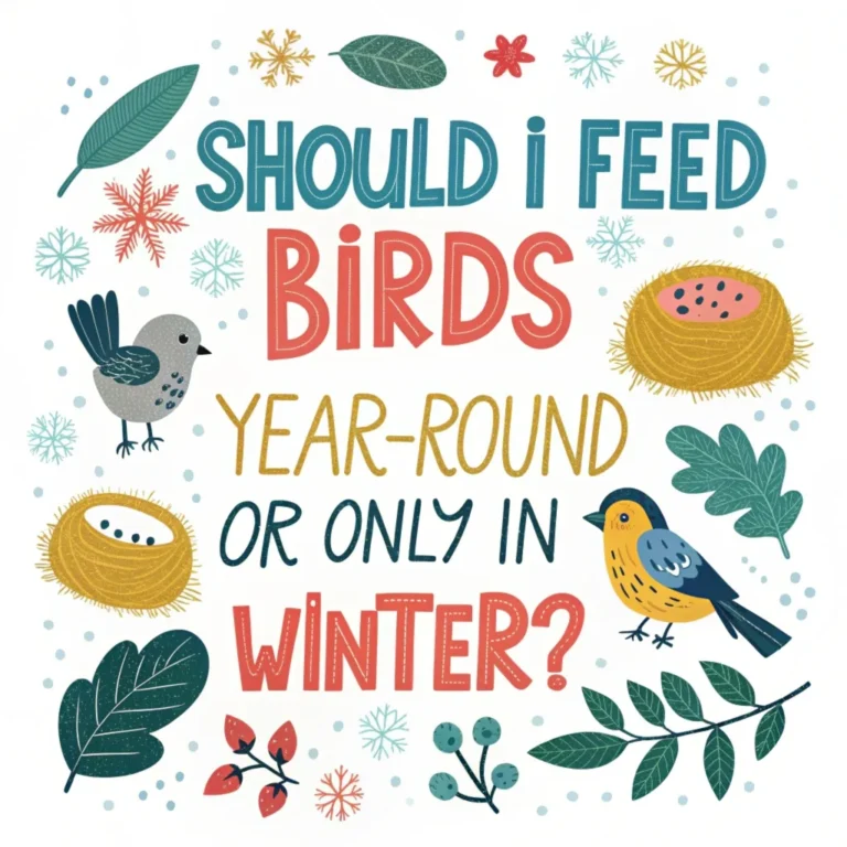 Should I Feed Birds Year-Round or Only in Winter? Explained