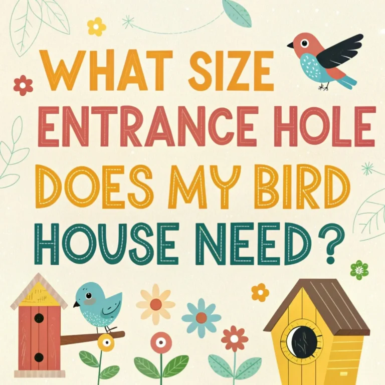 What Size Entrance Hole Does My Bird House Need?