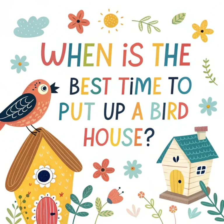 When Is The Best Time To Put Up A Bird House?