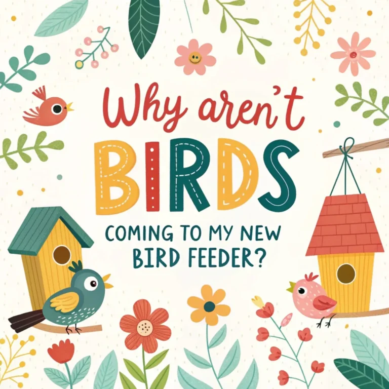 10 Reasons Birds Aren’t Visiting Your New Feeder (How to Fix It)