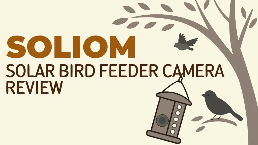 SOLIOM Solar Bird Feeder Camera Review: Smart Backyard Bird Watching
