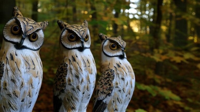 realistic rotating owl decoys