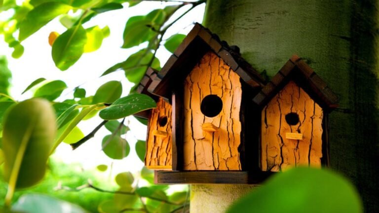 top eco friendly bird houses