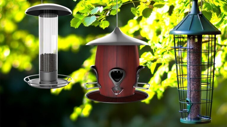 top squirrel proof bird feeders