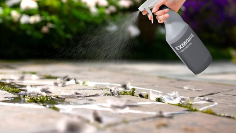 best enzyme cleaners 2026