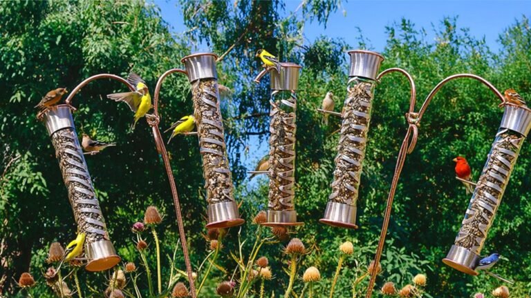 best multi bird thistle feeders