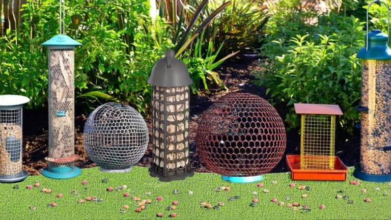 bird feeder ground protection