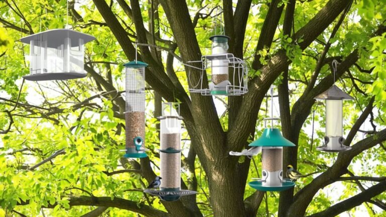 grackle proof bird feeders