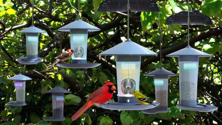 top app enabled bird feeders