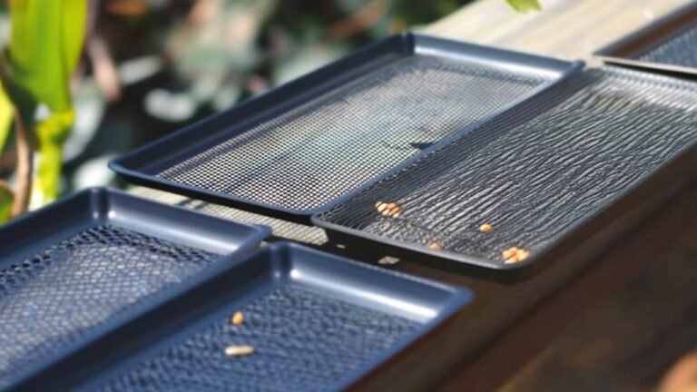 top bird feeder tray options