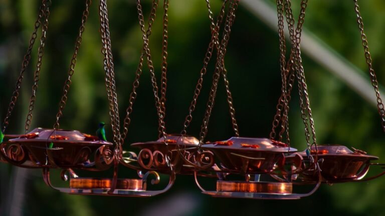 top copper hummingbird swings