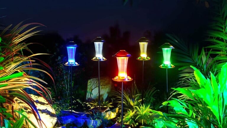 top solar bird feeder selections