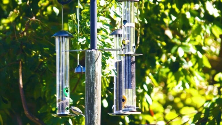 top squirrel proof bird feeders