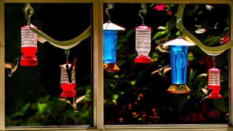 top window hummingbird feeders