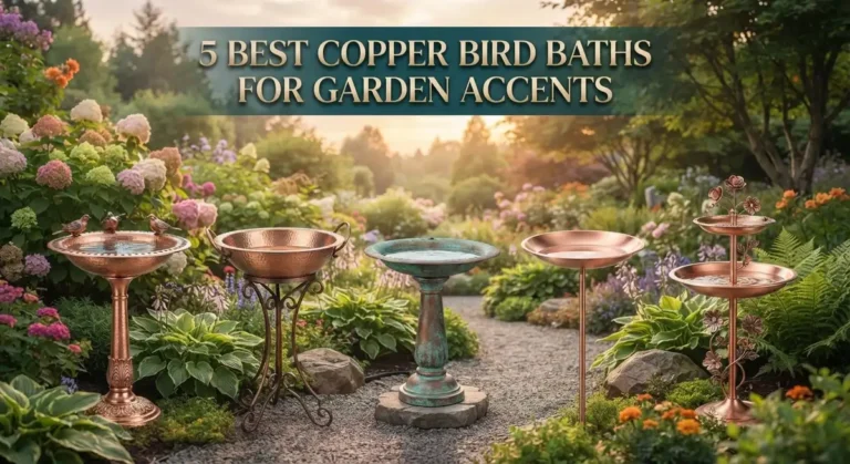 5 Best Copper Bird Baths for Garden Accents: Top Rated