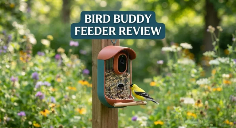 Bird Buddy Feeder Review: Is It Worth Buying In 2026?