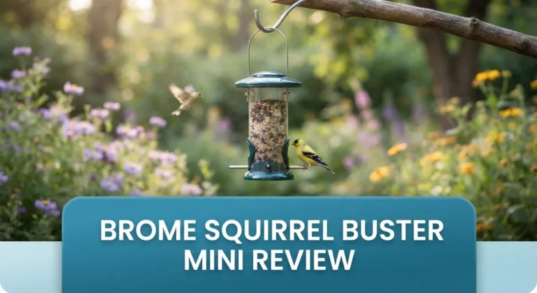 Brome Squirrel Buster Mini Review: Squirrel-Proof Bird Feeder Guide