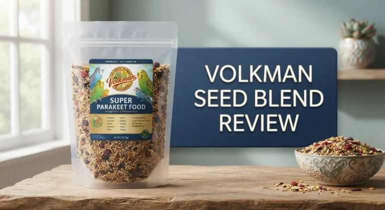 Volkman Seed Blend Review: Best Bird Food for Avian Health
